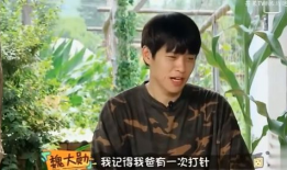 吃瓜爆料王源任嘉伦,娱乐圈的瓜田新秀，揭秘幕后故事！”