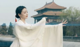 中国三级视频,揭秘社会现象与人性冲突的多元视角